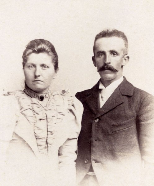 onbekendechtpaardameis47.jpg