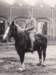 harmannusvos8121918_small.jpg