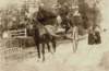 optochtin1914metgroningersjeesteoterdumofwilderhofnannojager18921978_small.jpg