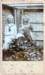 alidamargarethacatharinajohannadahuijgens18981917mettheusbroerhuijgens1904encatharinajohannahuijgens1901_small.jpg