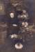 geertruidaschillhornvanveen18391934vrouwvanharketiesvandermolen18391913_small.jpg