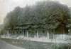 huisvangerritdusseldorp18531915usquert_small.jpg
