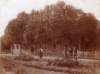 oudehuisopadusseldorp_small.jpg