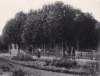 oudekosterijenschoolmeesterswoningvangerritdusseldorp18521915kerkstraatnoordzijdeteusquertuitfotoboekvanusquert1982_small.jpg